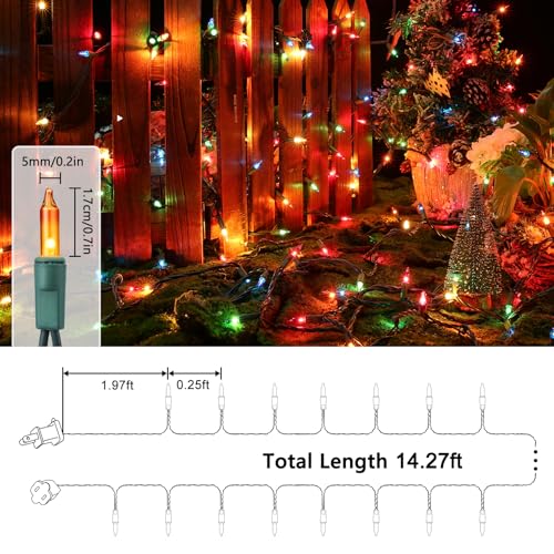 Multicolor Christmas Lights (12.5 Foot)