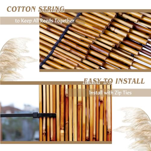 Reed Fencing Rolls (90.19999999999999 Sq Ft)