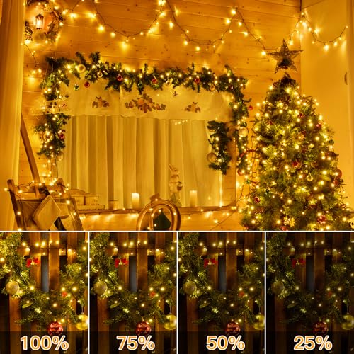 Christmas Lights (164 Foot)