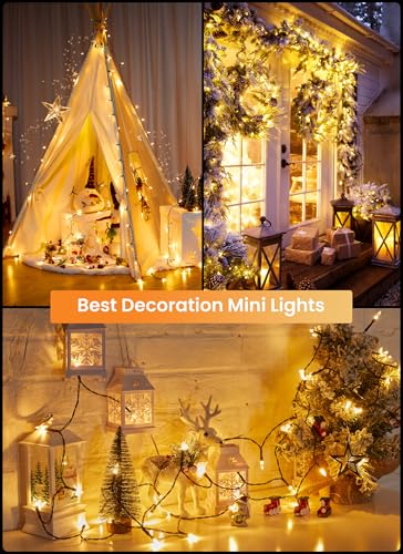 LED Christmas Mini Lights