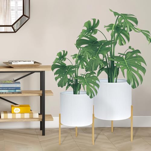 Modern Plant Pots (2 Count)