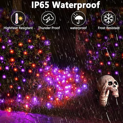 Solar String Lights Outdoor (6 Count)