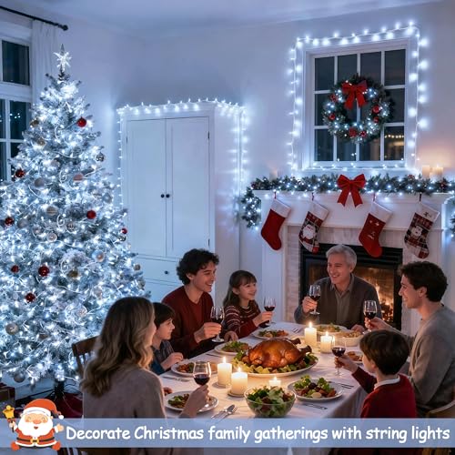 66ft 200 LED White Christmas String Lights Indoor Outdoor Plug in (66 Foot)