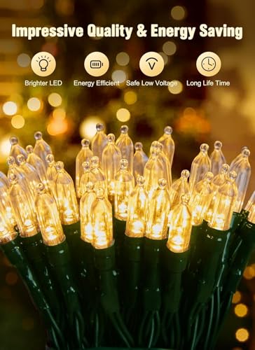 8ft 20LED Battery Operated Christmas String Lights with Timer