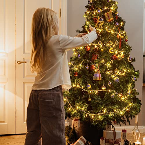 Clear Warm White Christmas Mini Lights (50 Count)