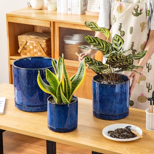 Ceramic Planters (3 Count)