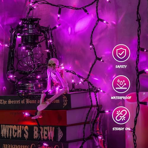 Purple Halloween Lights (13 Foot)