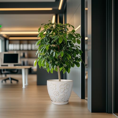 10 Inch Ceramic Planter Pot