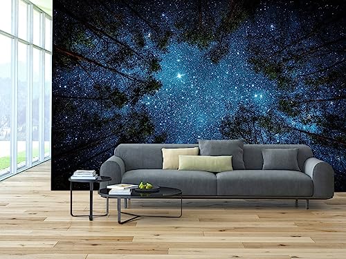 Forest Night Starry Sky Mural Wallpaper for Living Room Ceiling