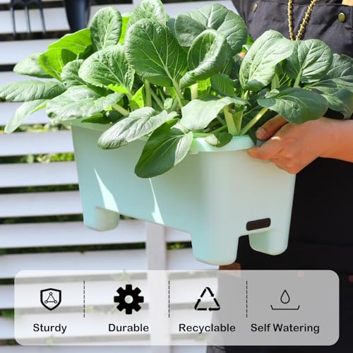 Self Watering Rectangle Planter Boxes 8 (8 Count)