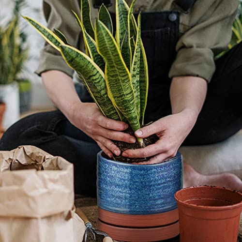 6 Inch Plant Pots