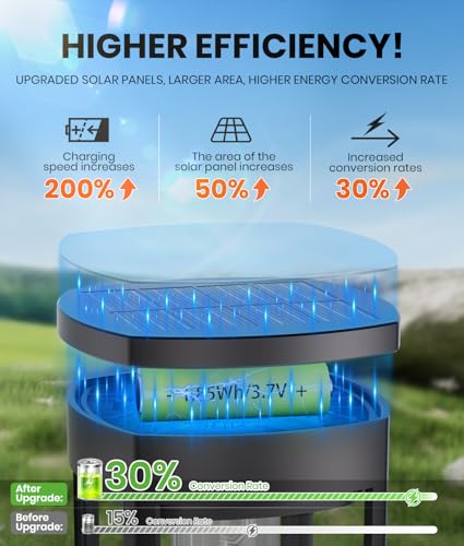 Solar Garden Lights (4 Count)