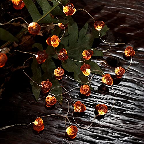 Thanksgiving Acorn Lights Fall Garland Decorative Fairy String Light Cute Novelty Lights 30 LEDs 10 ft USB or Battery Operated for Bedroom Wedding Xmas Harvest Decor (10 Foot)