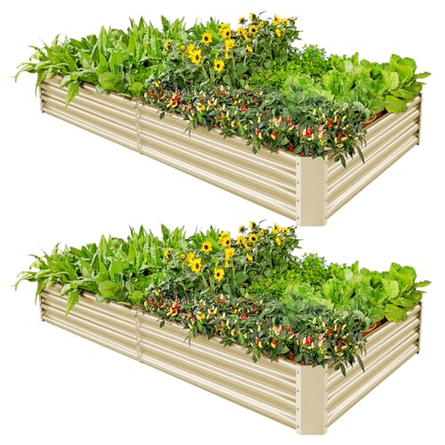 2 Pack 8×4×1ft Galvanized Metal Raised Garden Bed (2 Count)