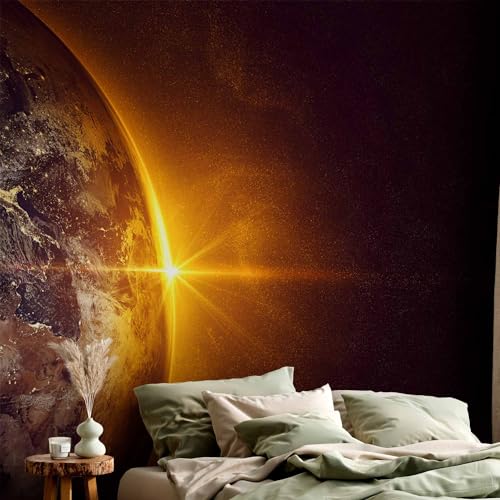 Wall Mural Wallpaper (8 Count)