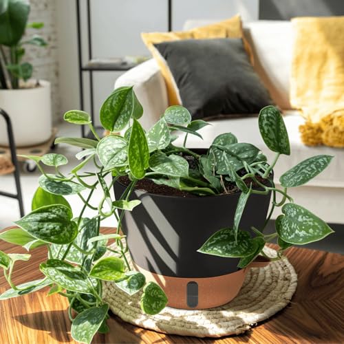 12/10/8 Inch Self Watering Pots for Indoor Plants Plastic Large Plant Pots for Outdoor Plants, Water Level Window & Spacious Reservoir Flower Pots Decorative Planter with Drainage and Tray (3 Count)