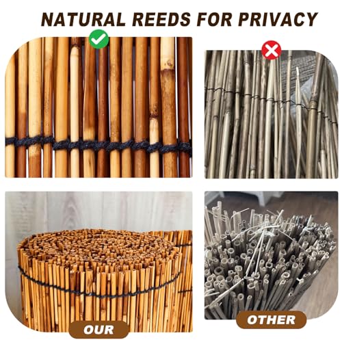Bamboo Fencing