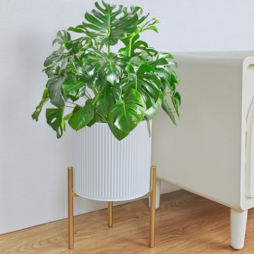 Modern Planter Pots (2 Count)