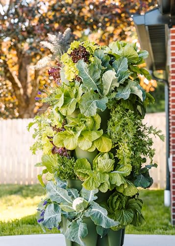 Patented Large 5 Tier Vertical Garden Planter with Patented Internal Watering System Great for Growing a Variety of Strawberries (30 Count)