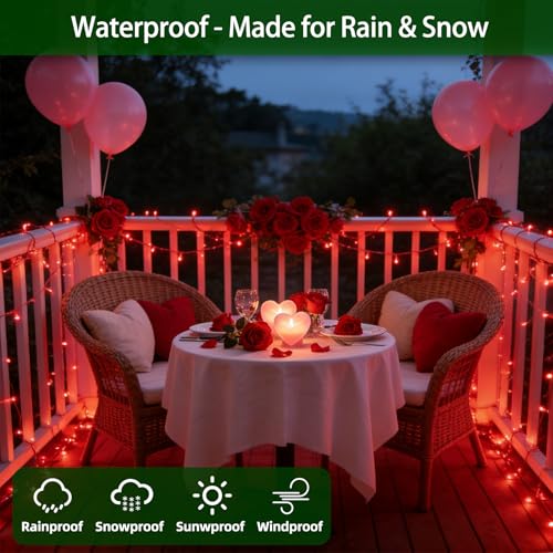 300 LED 75FT Valentine's Day String Lights (75 Foot)
