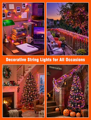 Purple and Orange Halloween Lights (26 Foot)