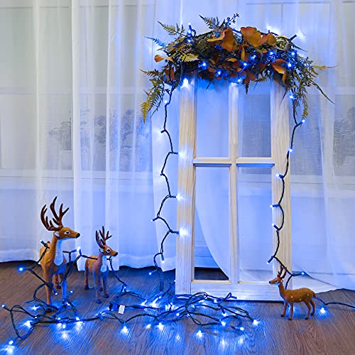 5MM Wide Angle Christmas Lights Blue