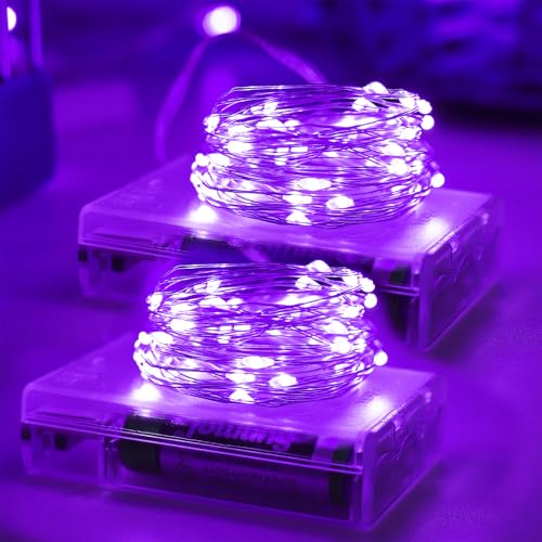Halloween Decorations Purple Fairy String Lights