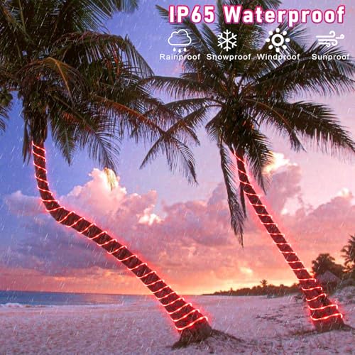 164FT 500 LED Rope Lights for Outside