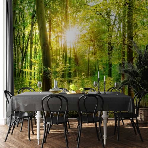 Wall Mural Wallpaper (147 Sq Ft)