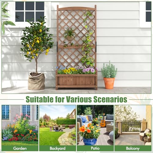 2 60” Raised Garden Bed with Trellis