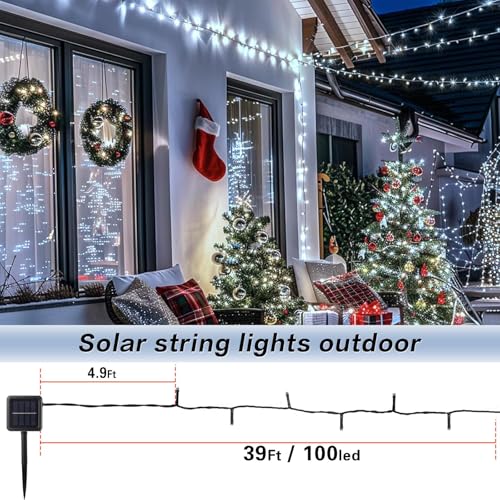 Solar String Lights Outdoor (6 Count)