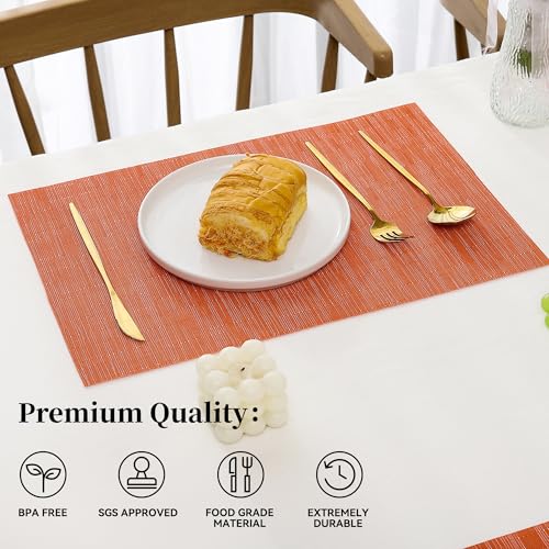 Orange Placemats Set of 12 (12 Count)