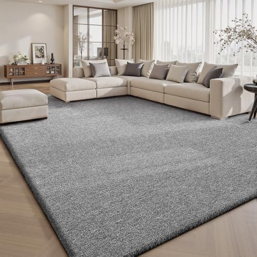 Area Rugs 9x12 for Living Room Bedroom