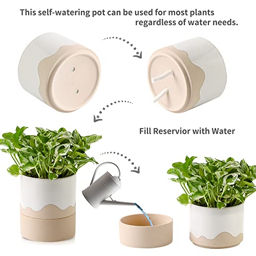 Ceramic Self Watering Plant Pot for Indoor Plants
