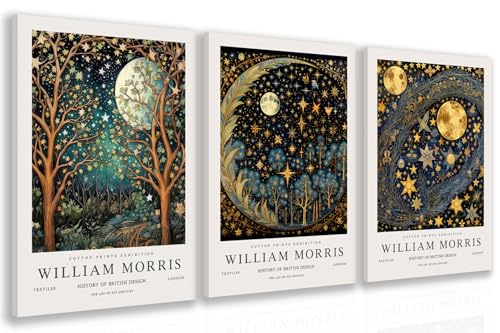 Wrapped Canvas William Morris Moon Star Wall Art Set of 3 (3 Count)
