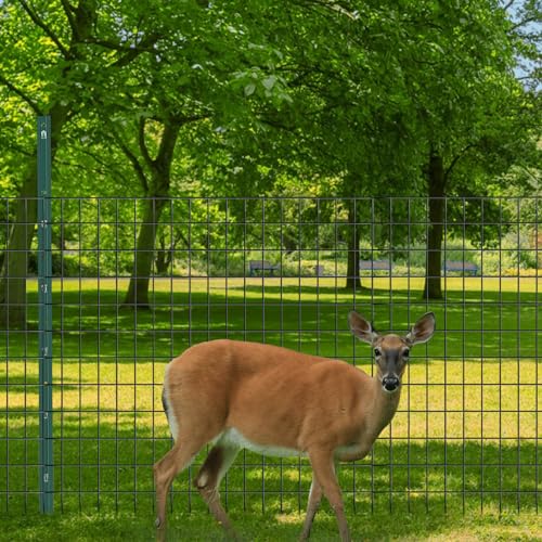 Welded Wire Fence