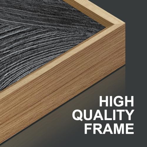 Black and White Framed Canvas Wall Art Set