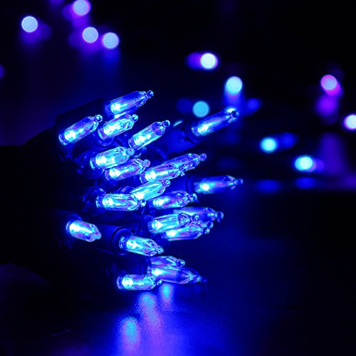 Blue Christmas Lights (33 Foot)