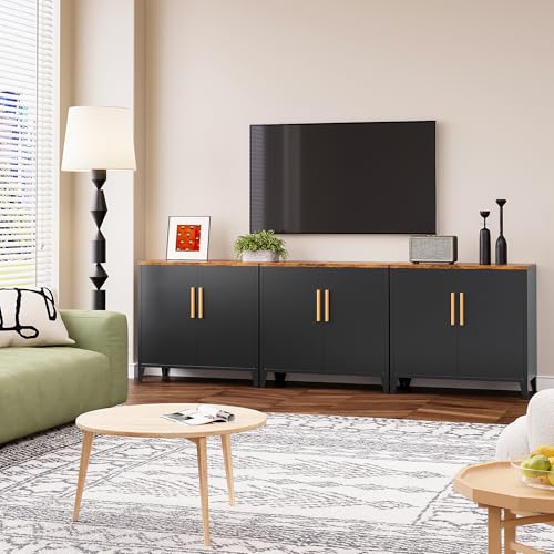 Black Storage Cabinet with Doors and Shelves