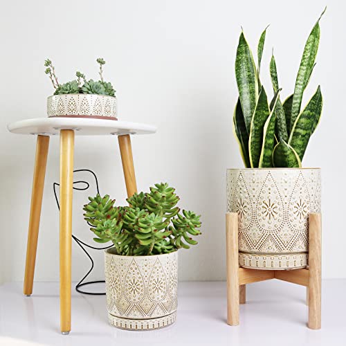 8 Inch Plant Pot with Stand