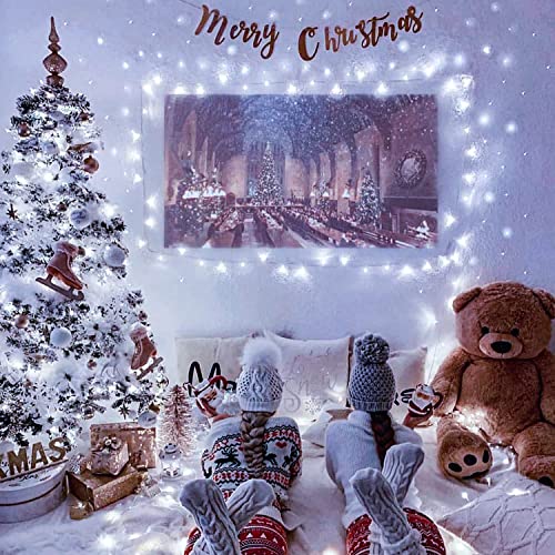 Connectable 8 Modes 100 LED White Christmas Lights Clear Wire (33 Foot)