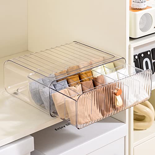 Underwear Organizer for Closet