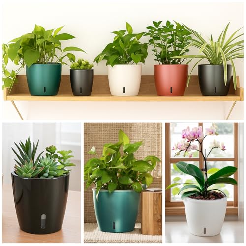Self Watering Pots for Indoor Plants