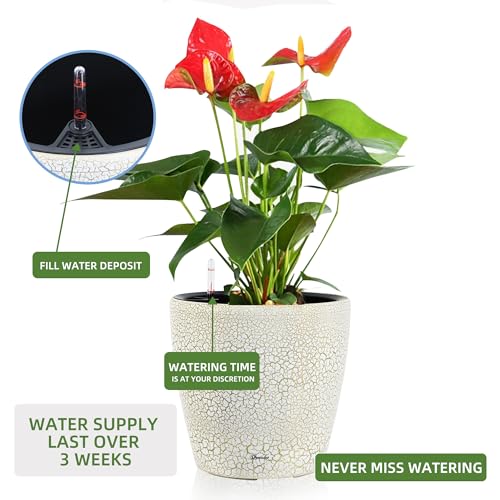18x17 Self Watering Planter with Wheels
