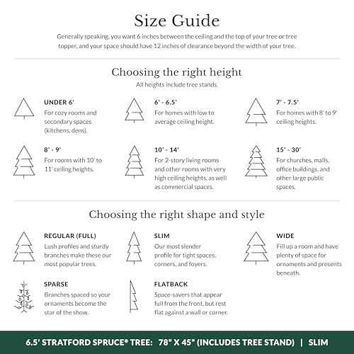 Stratford Spruce