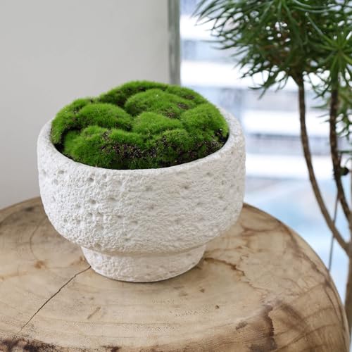 New Moss Bowl
