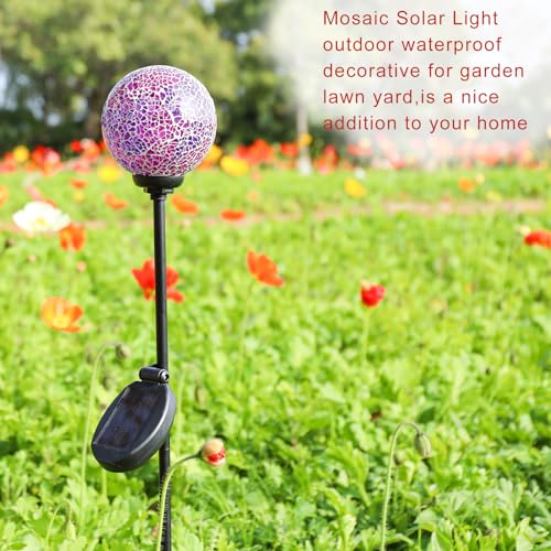 Decorative Solar Garden Lights