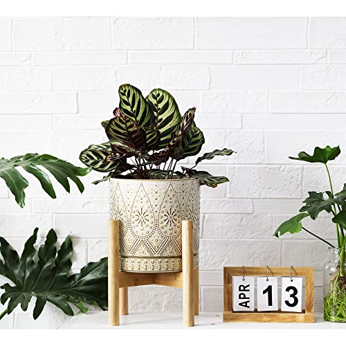 8 Inch Plant Pot with Stand