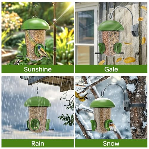 LONA Bird Feeder with 3 Compartments