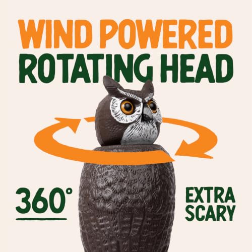 Large Rotating Head Fake Owl Decoy to Scare Birds Away